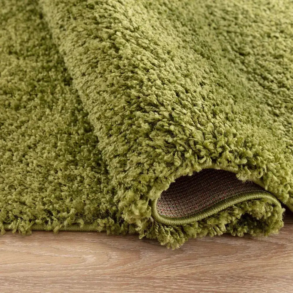 closeup of soft green shaggy rug in a modern living room