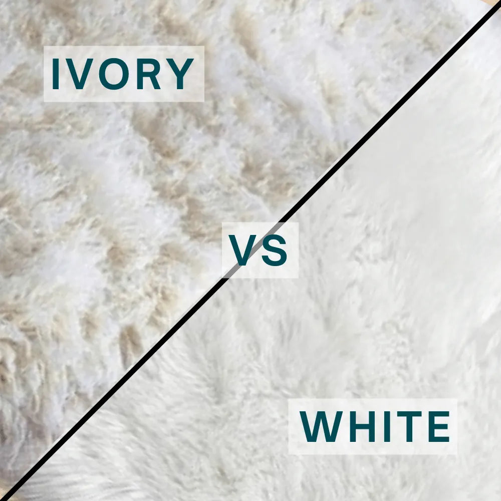 Ivory vs. White Rugs: Which Neutral Rug Is Right for Your Home?