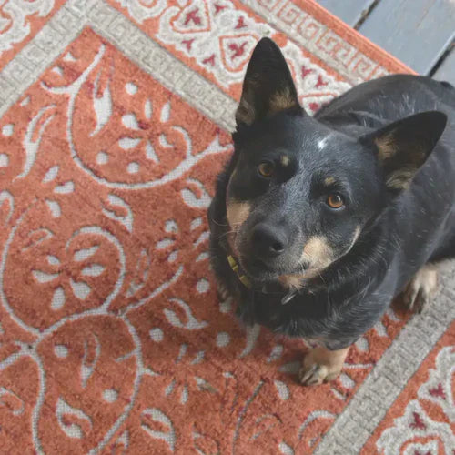 The Impact of Orange Rugs on Mood and Energy in Your Home