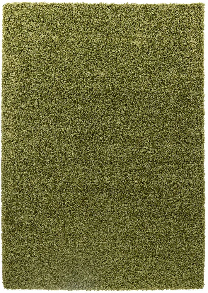 Oxford Living Room Area Rug Green