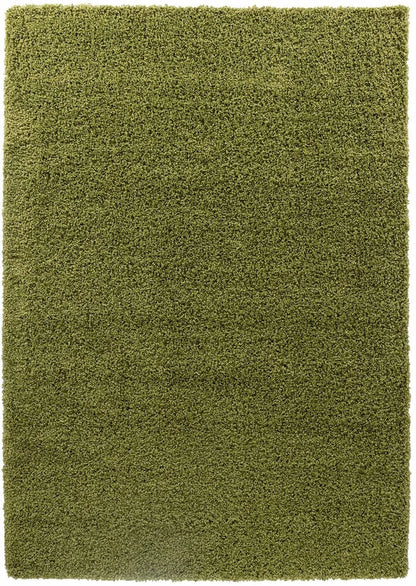 Oxford Living Room Area Rug Green