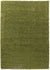 Oxford Living Room Area Rug Green