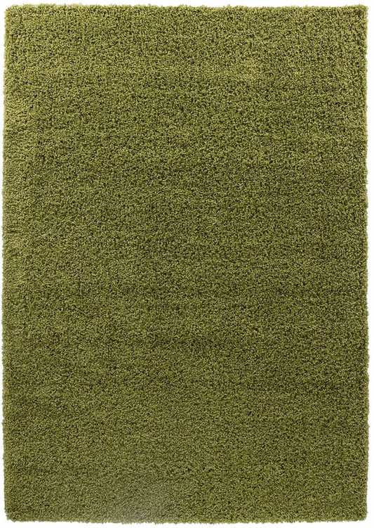 Oxford Living Room Area Rug Green