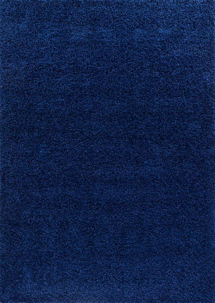 Oxford Living Room Area Rug Navy