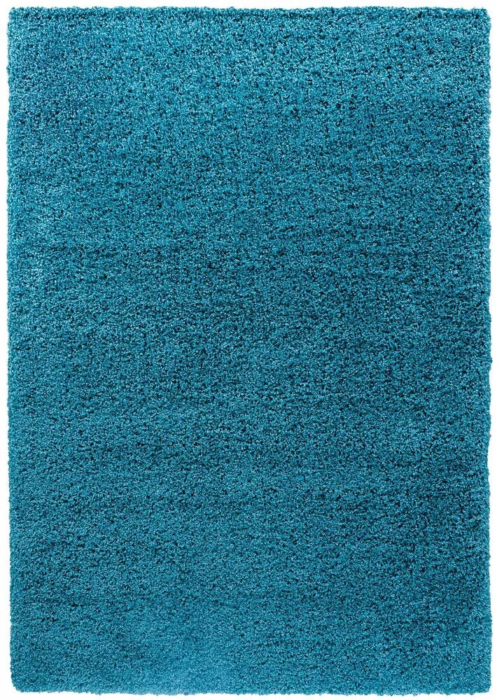 Oxford Living Room Area Rug Teal