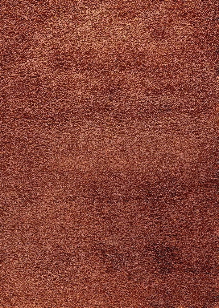 Oxford Living Room Area Rug Terracotta