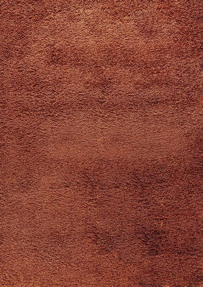 Oxford Living Room Area Rug Terracotta